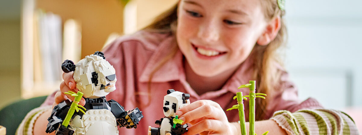 31165_Creator3in1_1HY25_SBA Custom Image_1200x628